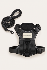 Stride Dog Harness & Leash Set