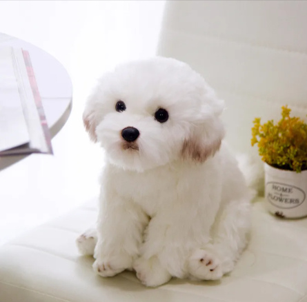 Buddy Plush Dog Toy