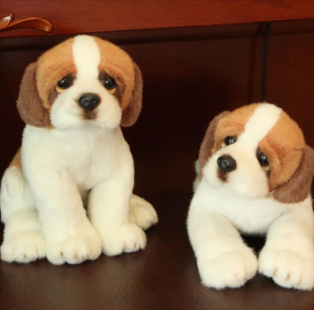 Buddy Plush Dog Toy