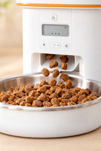 Kibble dropping into the stainless steel bowl