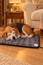 A senior beagle asleep on the Nestle Heated Pet Pad