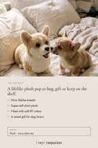 Buddy Plush Dog Toy: the details