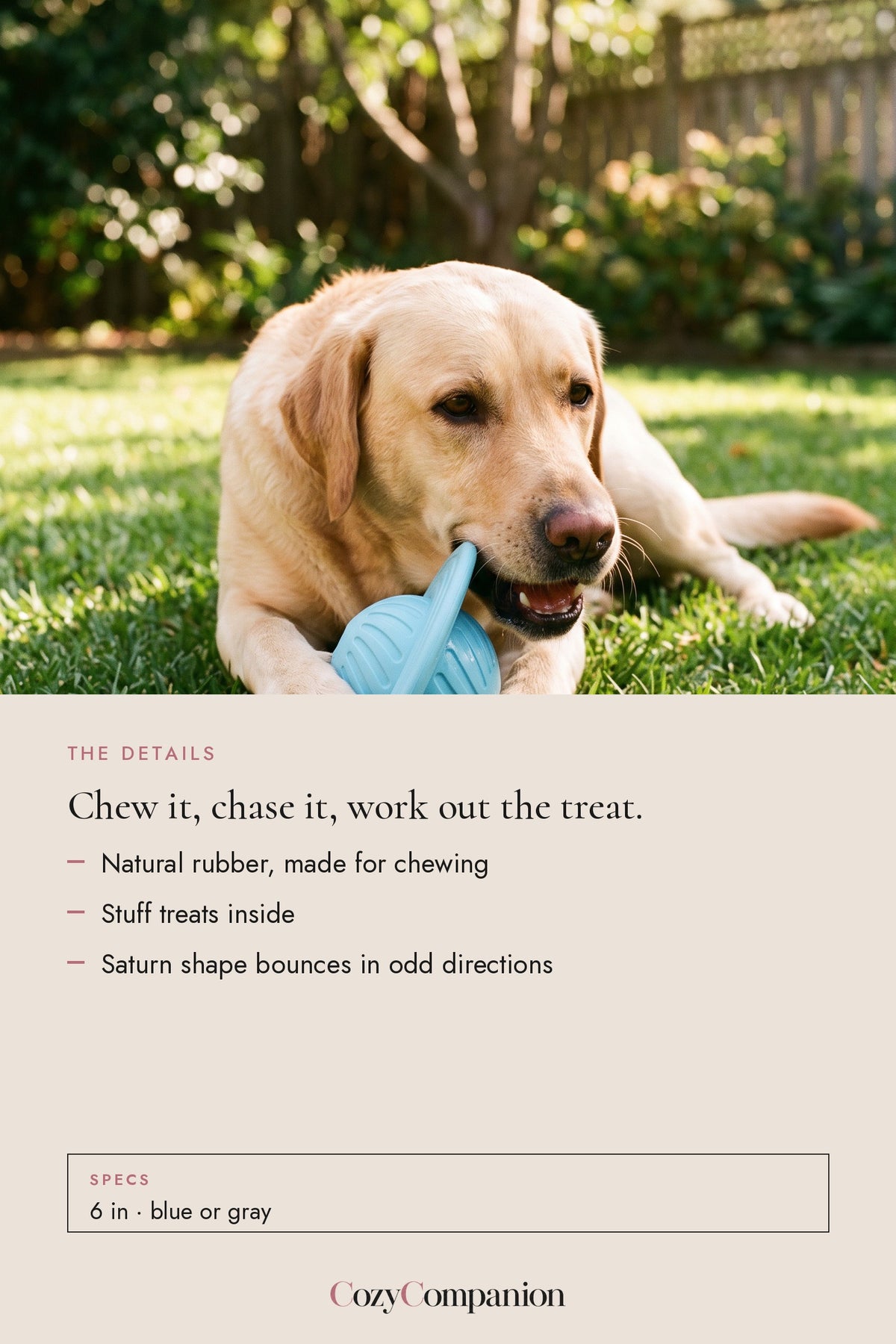 Chomp Rubber Treat Ball: the details