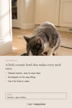 Cove Ceramic Cat Bowl: the details