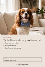 Dapper Gingham Bow Tie: the details