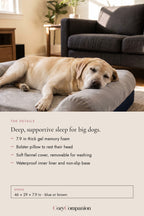 Dream Memory Foam Dog Bed: the details
