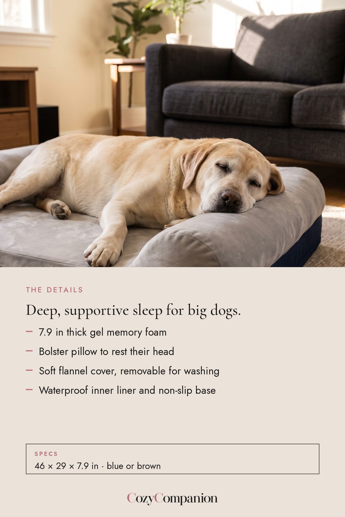 Dream Memory Foam Dog Bed: the details