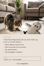 Flit Flapping Bird Cat Toy: the details