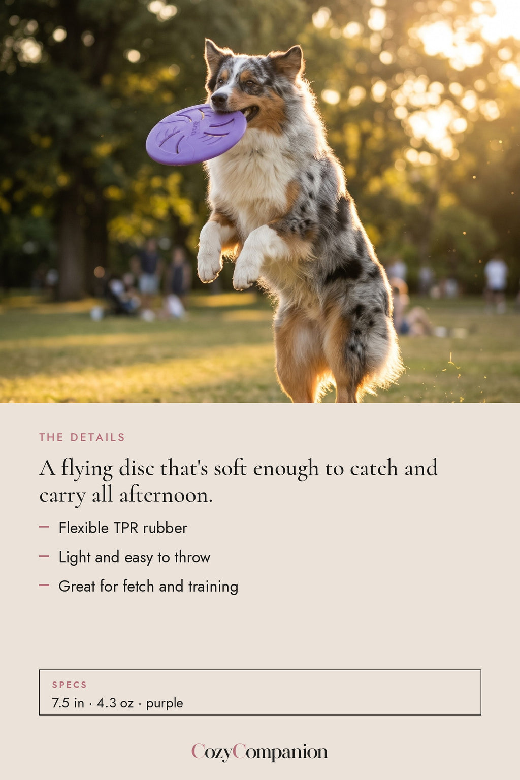 Glide Soft Dog Frisbee: the details