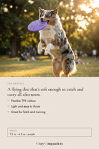 Glide Soft Dog Frisbee: the details