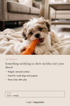 Gnaw Dental Chew Toy: the details