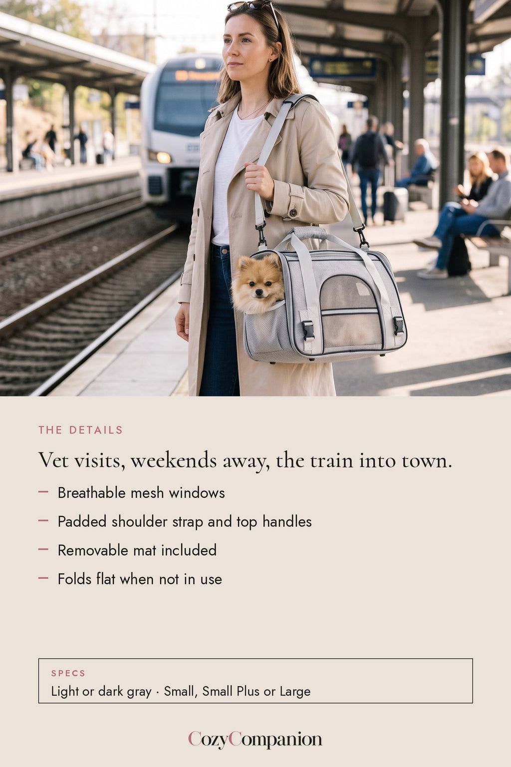 Jetset Soft Pet Carrier: the details