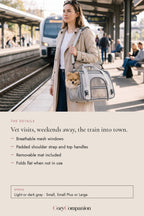 Jetset Soft Pet Carrier: the details