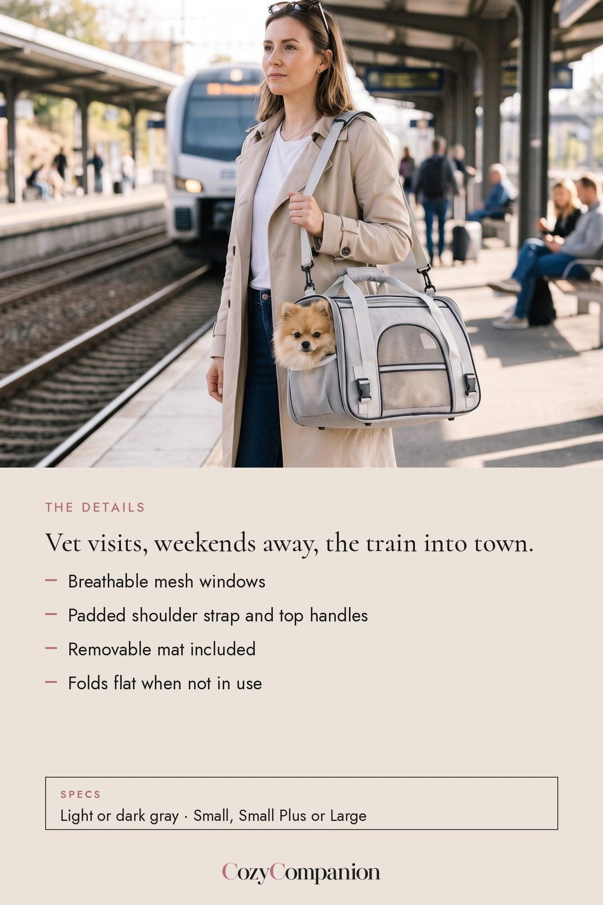 Jetset Soft Pet Carrier: the details