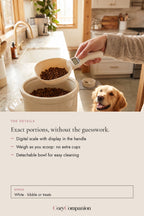 Measure Smart Scale Scoop: the details