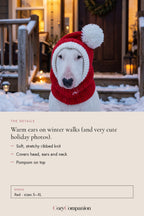 Mistle Knit Dog Hood: the details