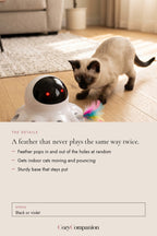 Pounce Automatic Feather Cat Toy: the details