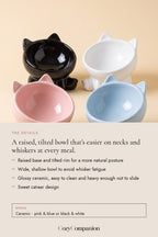 Purr Tilted Ceramic Cat Bowl: the details