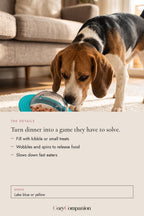 Riddle Treat Dispensing Ball: the details