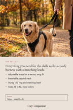Stride Dog Harness & Leash Set: the details