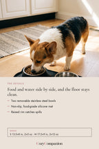 Tidy Double Bowl Feeder: the details