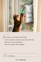 Wiggle Window Cat Teaser: the details