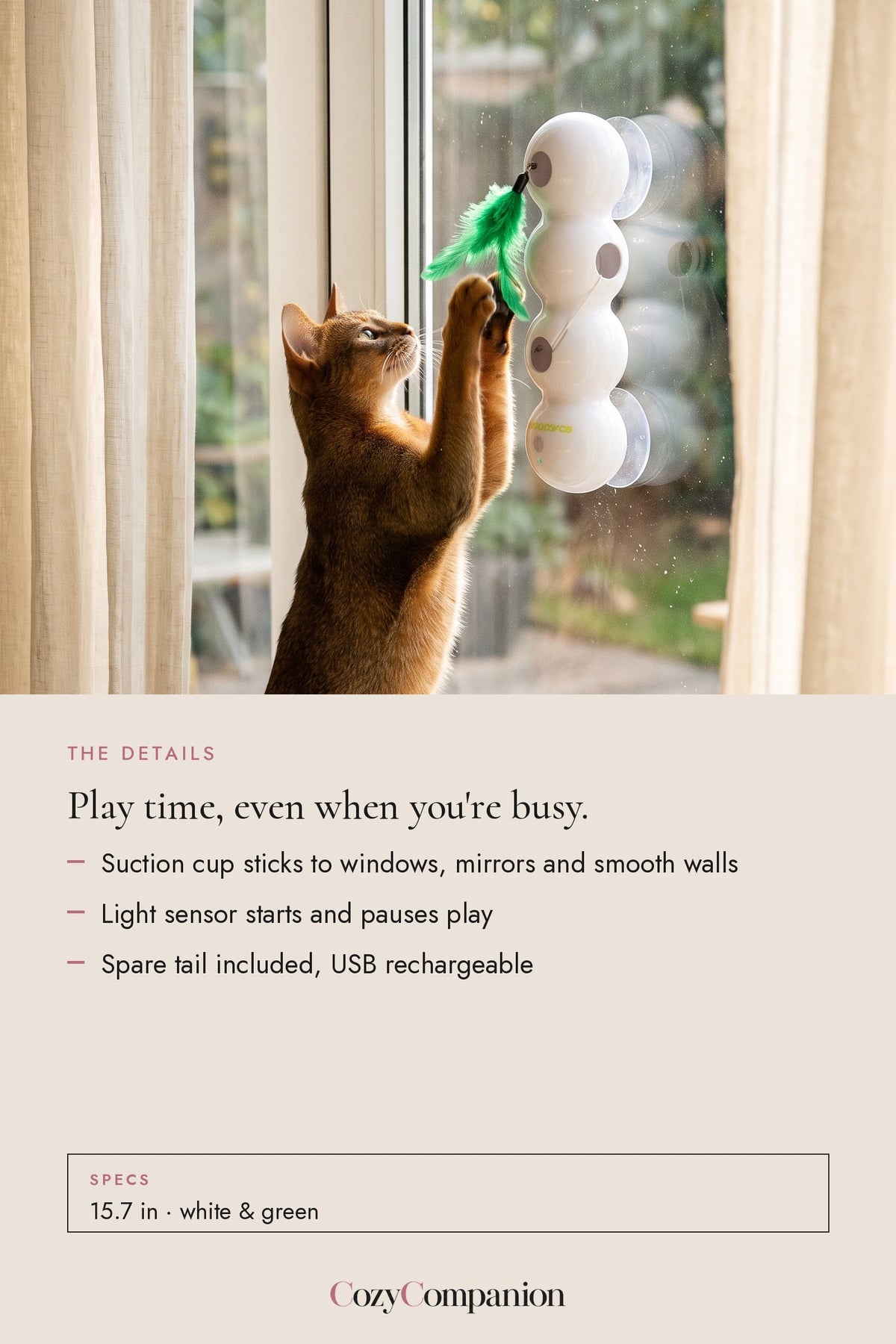 Wiggle Window Cat Teaser: the details
