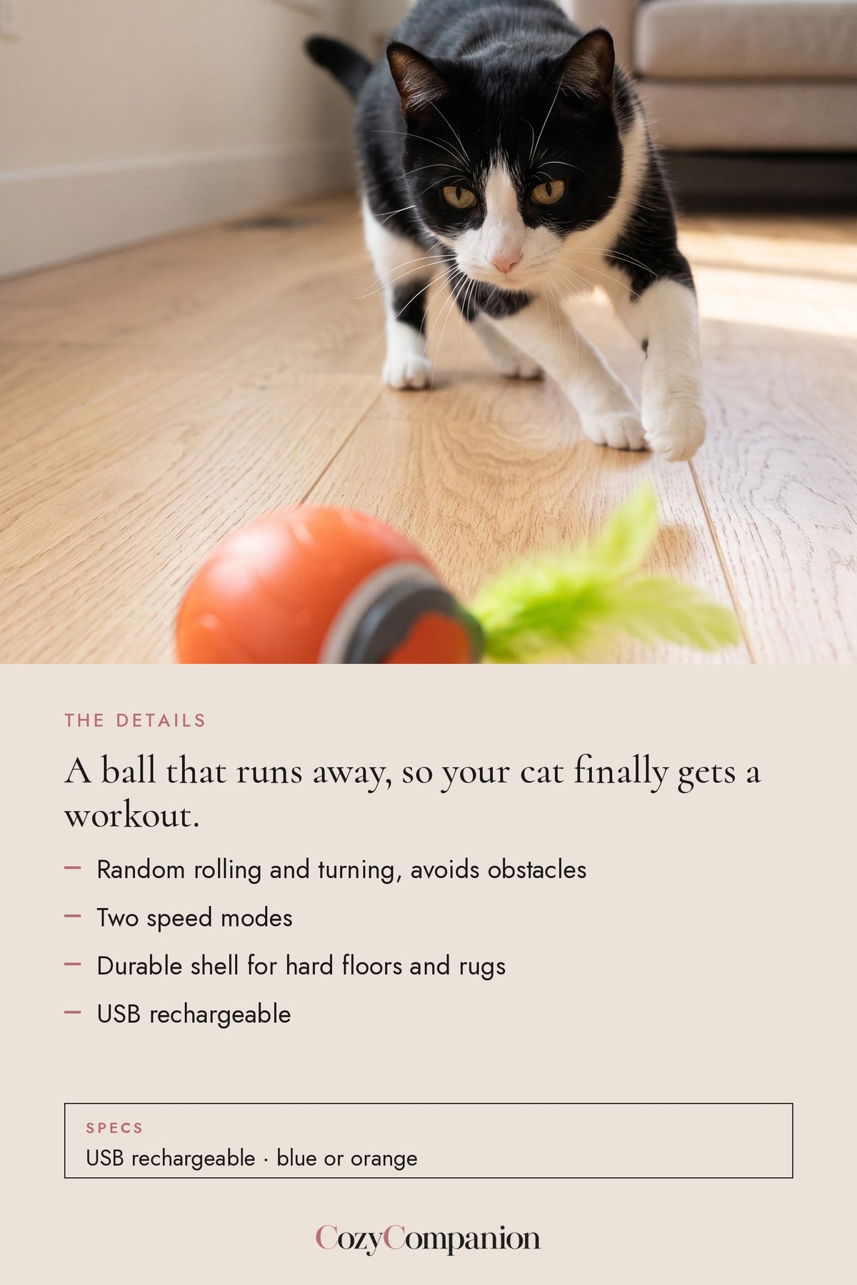 Zoom Self-Rolling Cat Ball: the details