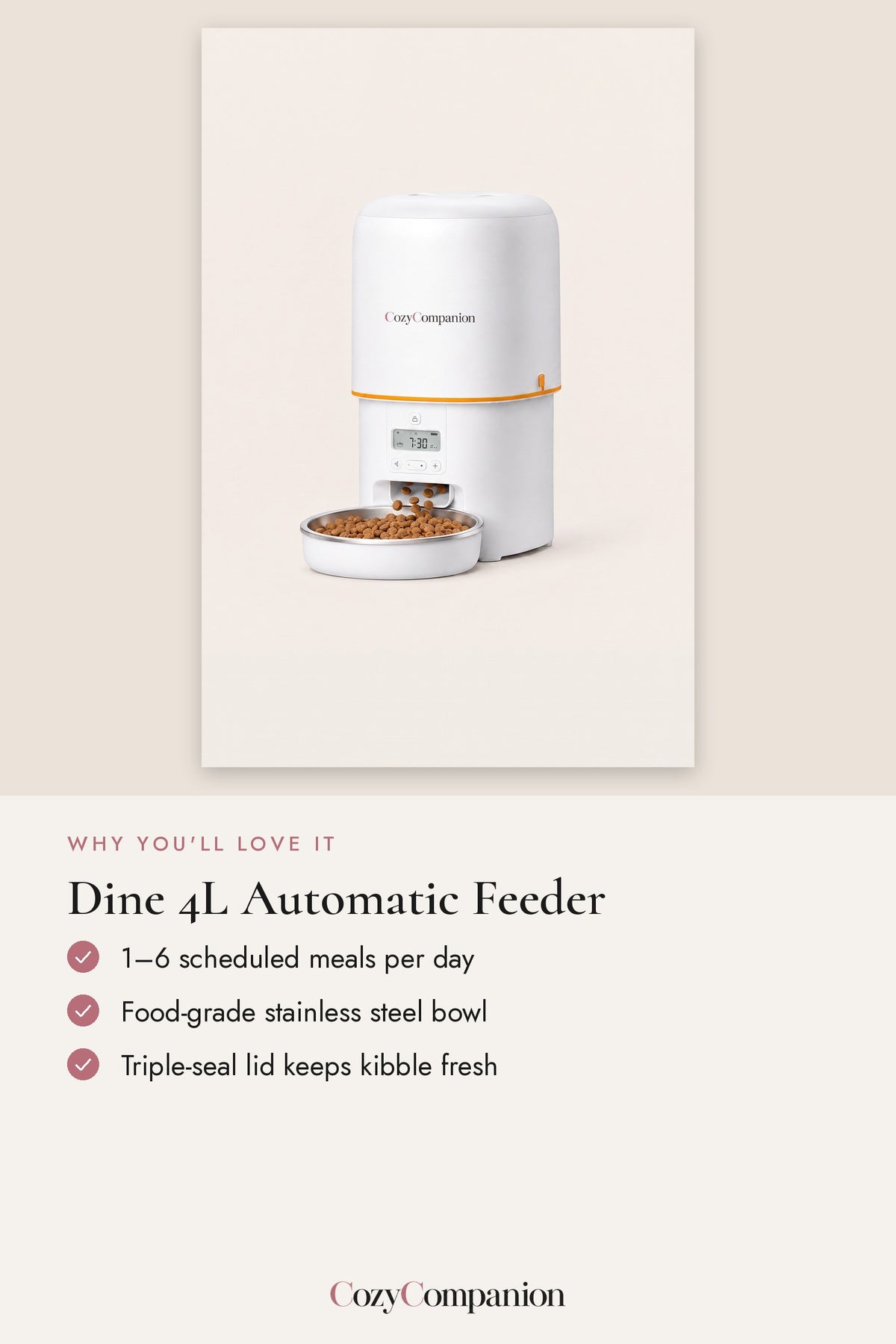 Dine 4L Automatic Feeder: why you'll love it