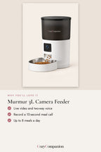 Murmur 3L Camera Feeder: why you'll love it