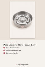 Pace Stainless Slow Feeder Bowl: why you'll love it