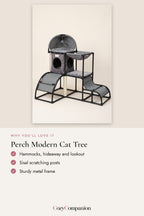Perch Modern Cat Tree: why you'll love it