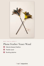 Plume Feather Teaser Wand: why you'll love it