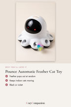 Pounce Automatic Feather Cat Toy: why you'll love it