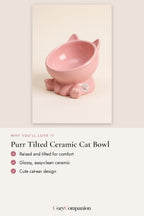 Purr Tilted Ceramic Cat Bowl: why you'll love it