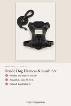 Stride Dog Harness & Leash Set: why you'll love it
