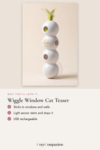 Wiggle Window Cat Teaser: why you'll love it