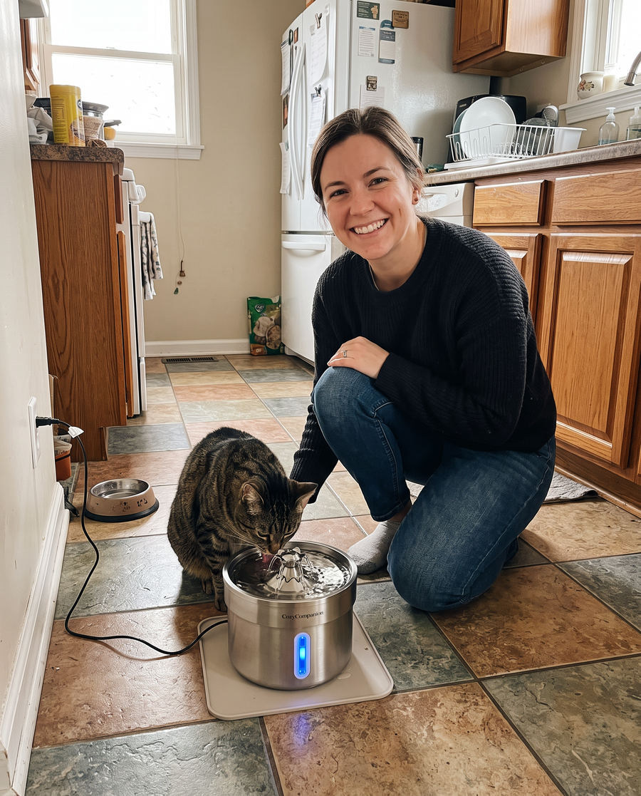 Brook Stainless Pet Fountain