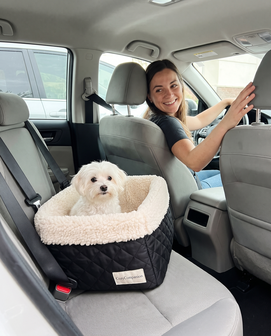 Ride Sherpa Car Booster Seat