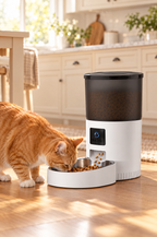 A cat eating from the Murmur camera feeder