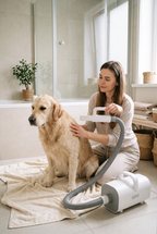 Drying a golden retriever with the Breeze dryer