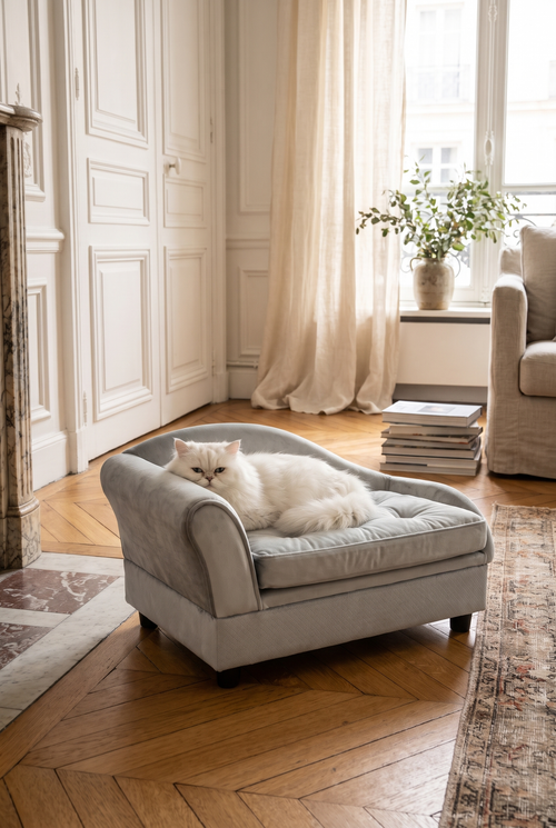 Persian cat lounging on the Chaise velvet pet sofa