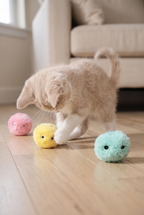 A kitten playing with Chirp catnip balls