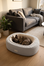 A French bulldog asleep in the Cocoon bed
