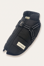 Frost harness winter dog jacket in black