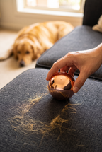 Lifting dog hair off a sofa with the Lift ball