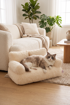 A ragdoll cat on the Lounge pet sofa