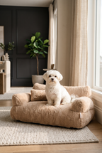 A Maltese on the mocha Lounge sofa