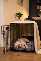 A French bulldog asleep on the Nook mat in a crate