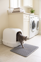 A cat stepping onto the Sift litter mat